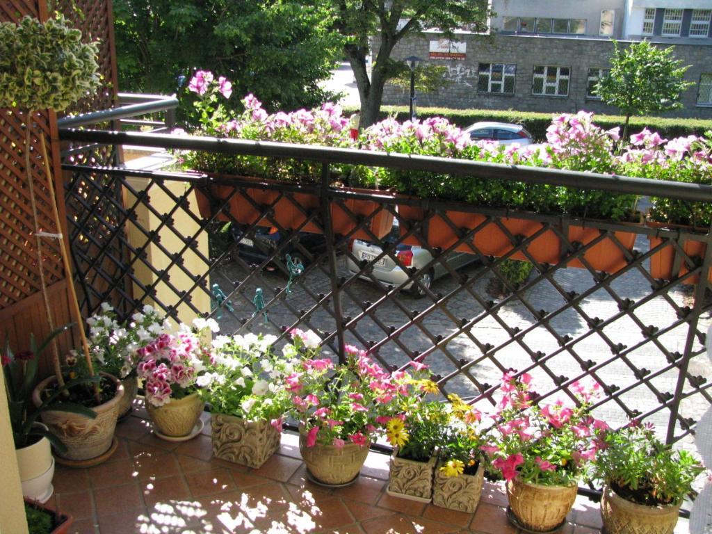 Appartement Patio Mare Amber à Sopot Extérieur photo